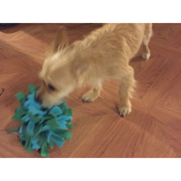 Gift Set 24”x12” Snuffle Mat, Chew Ring, Treat Ball Choose Your Colors - Picture 6 of 6